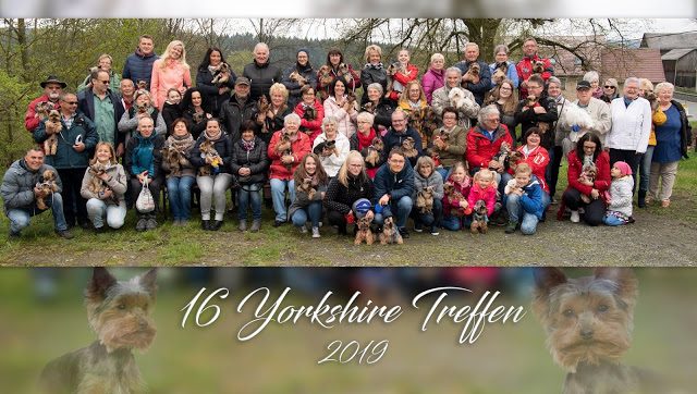 Read more about the article 16. Yorkshire Treffen -> 5. Mai 2019